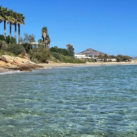 Sunkiss Paros Apartment Drios Bagian luar foto